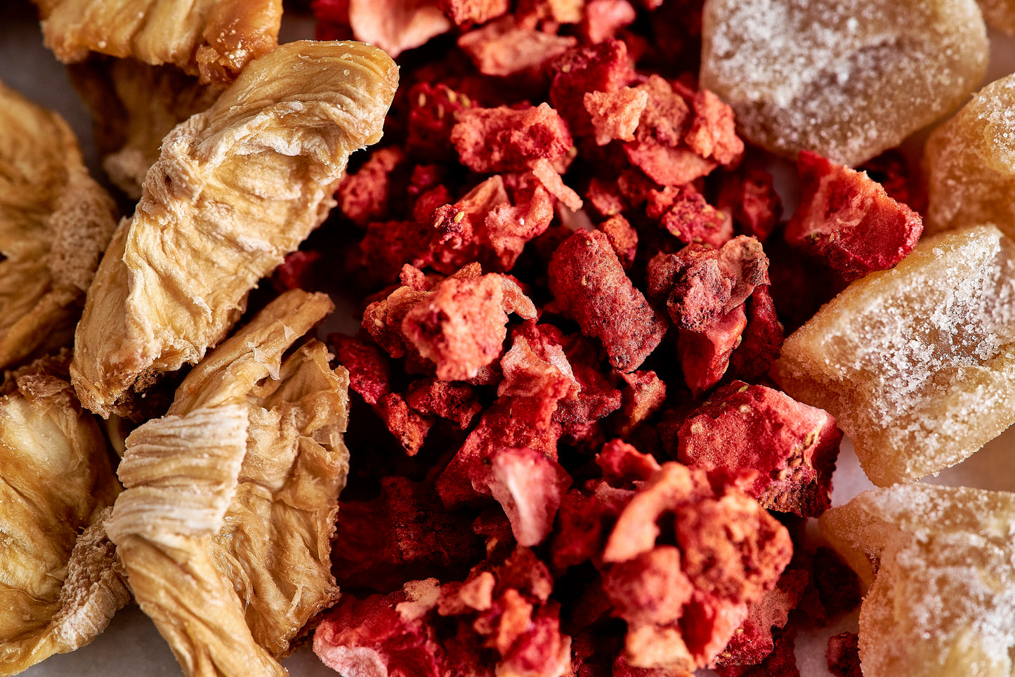 Kombucha-Infusion-Set BIO